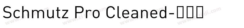 Schmutz Pro Cleaned字体转换